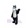 Loup costume de mascotte