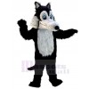 Loup costume de mascotte