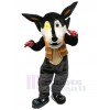 Loup costume de mascotte