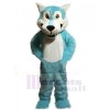 Loup costume de mascotte