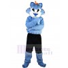 Loup costume de mascotte