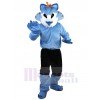 Loup costume de mascotte