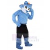 Loup costume de mascotte