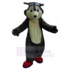 Loup costume de mascotte