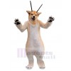 Loup costume de mascotte
