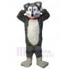 Loup costume de mascotte