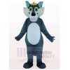 Loup costume de mascotte