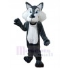 Loup costume de mascotte