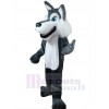 Loup costume de mascotte