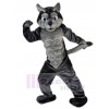 Loup costume de mascotte