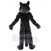 Loup costume de mascotte