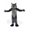 Loup costume de mascotte