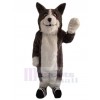 Loup costume de mascotte