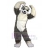 Loup costume de mascotte