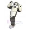 Loup costume de mascotte