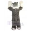 Loup costume de mascotte