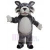 Loup costume de mascotte