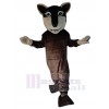 Loup costume de mascotte