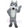 Loup costume de mascotte