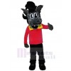 Loup costume de mascotte