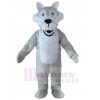 Loup costume de mascotte