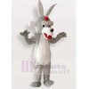 Loup costume de mascotte