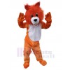 Loup costume de mascotte