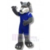 Loup costume de mascotte