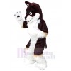 Loup costume de mascotte