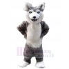 Loup costume de mascotte