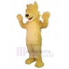 Loup costume de mascotte