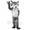 Loup costume de mascotte