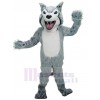 Loup costume de mascotte