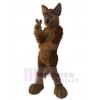 Loup costume de mascotte