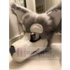Loup costume de mascotte