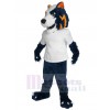 Loup costume de mascotte