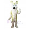 Loup costume de mascotte