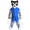 Loup costume de mascotte