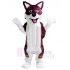 Loup costume de mascotte