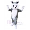 Loup costume de mascotte