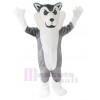 Loup costume de mascotte