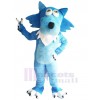 Loup costume de mascotte