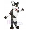Loup costume de mascotte