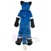 Loup costume de mascotte