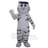 Tigre costume de mascotte