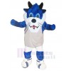 Tigre costume de mascotte