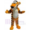 Tigre costume de mascotte