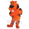 Tigre costume de mascotte