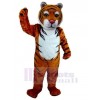 Tigre costume de mascotte