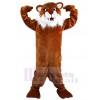 Tigre costume de mascotte